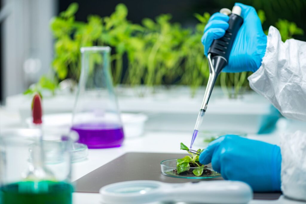 In a brightly lit lab, gloved hands manipulate a petri dish containing soil and tiny plants. 