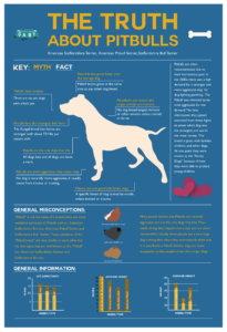 Educational infographic titled “The Truth About Pitbulls” presenting common myths and facts about pit bull breeds. The design includes a dog silhouette, informational callouts, breed comparisons, statistical charts, and general information about temperament, size, weight, and life expectancy.